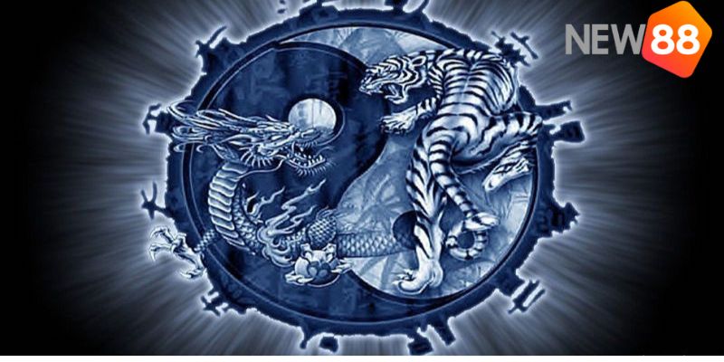 Cách soi cầu rồng hổ được hiểu là gì?