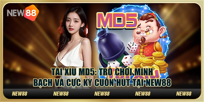 Tài xỉu MD5 - Trò chơi minh bạch và cực kỳ cuốn hút tại New88