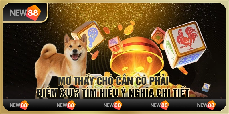 Nằm mơ thấy chó cắn có phải điềm xui? Tìm hiểu ý nghĩa chi tiết