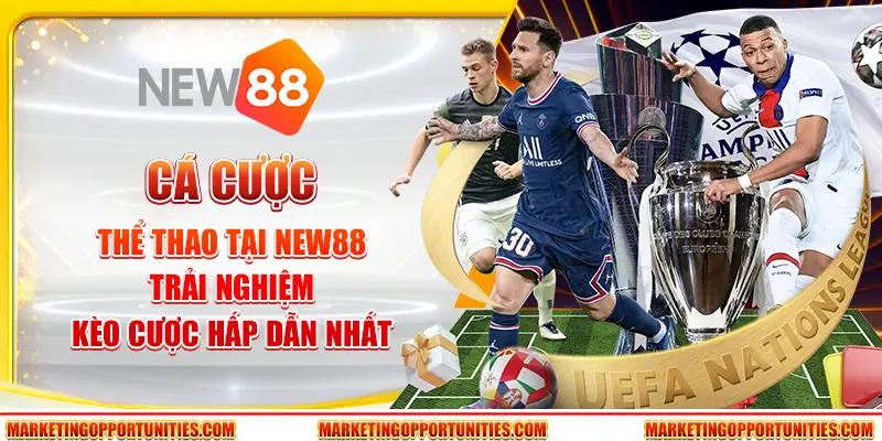 Cá cược thể thao tại New88 – Trải nghiệm kèo cược hấp dẫn nhất