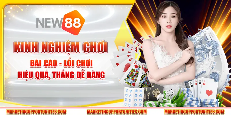 Kinh nghiệm chơi Bài Cào - Lối chơi hiệu quả, thắng dễ dàng