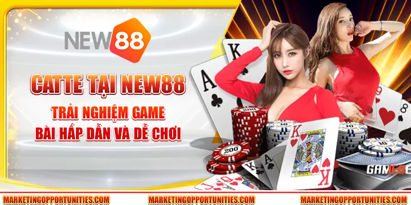 Catte tại New88: Trải nghiệm game bài hấp dẫn và dễ chơi