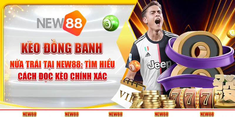 Kèo Đồng Banh Nửa Trái Tại New88: Tìm Hiểu Cách Đọc Kèo Chính Xác