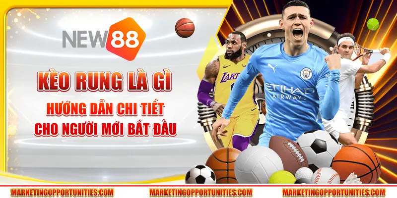 Kèo rung là gì - Hướng dẫn chi tiết cho người mới bắt đầu