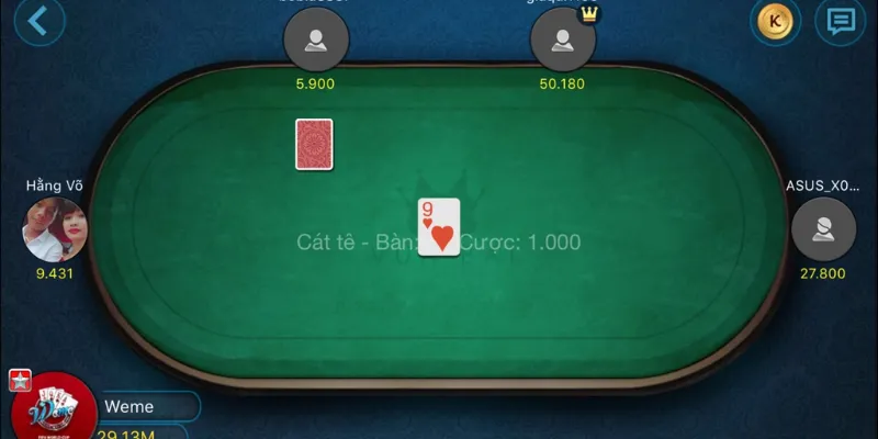 Tổng hợp thông tin cơ bản về Catte 