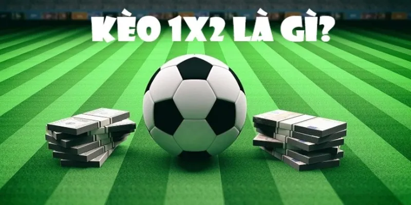 Mẹo cá độ kèo châu âu thẳng khủng mỗi ngày