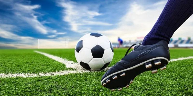 Kinh nghiệm cược kèo rung cho người mới tham gia