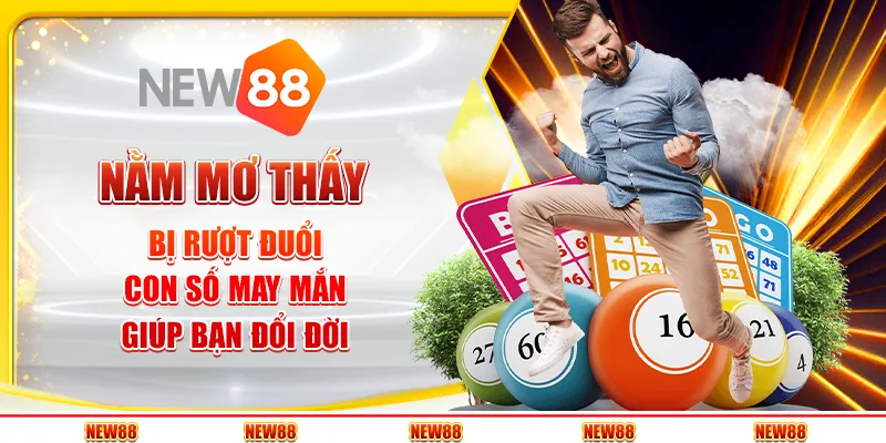 Nằm mơ thấy bị rượt đuổi - Con số may mắn giúp bạn đổi đời