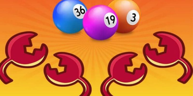 Chọn bao lô theo mẫu có sẵn