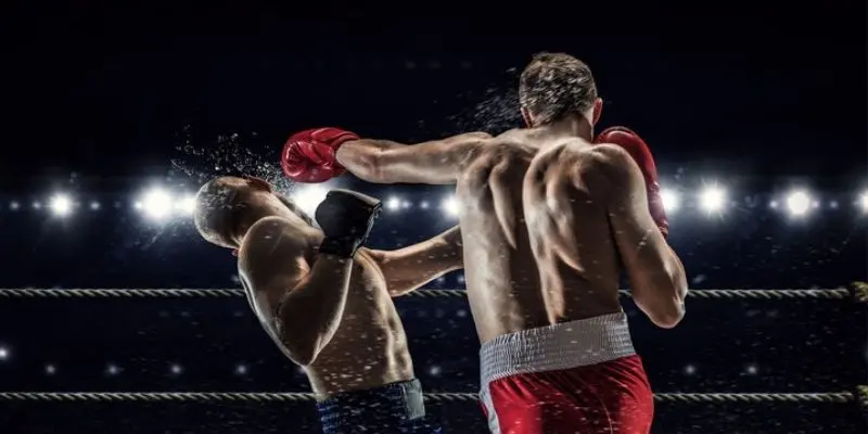 Các chiến lược nên chơi khi cá cược boxing thêm hiệu quả