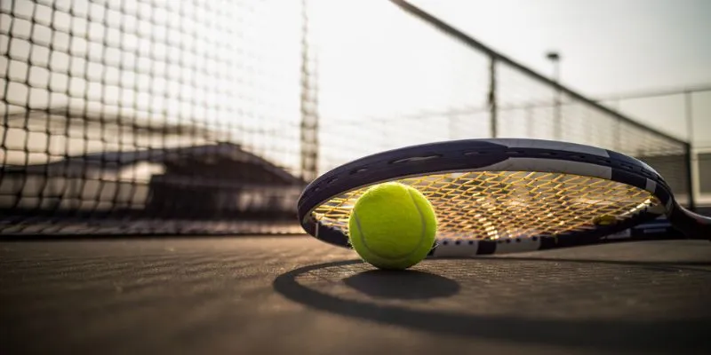 Các bộ môn cá cược thể thao được tham gia phổ biến nhất trong 2025