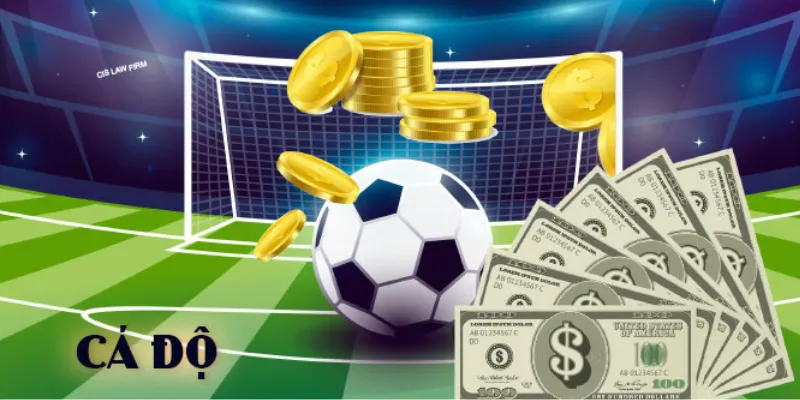 Cách đọc và phân tích các loại kèo trong cá độ bóng đá