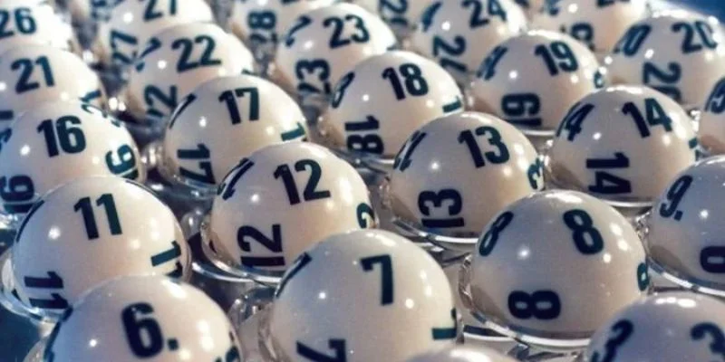 Đôi nét ưu điểm của việc nuôi lô mà bạn cần biết