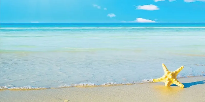 Mơ thấy nước biển trong xanh