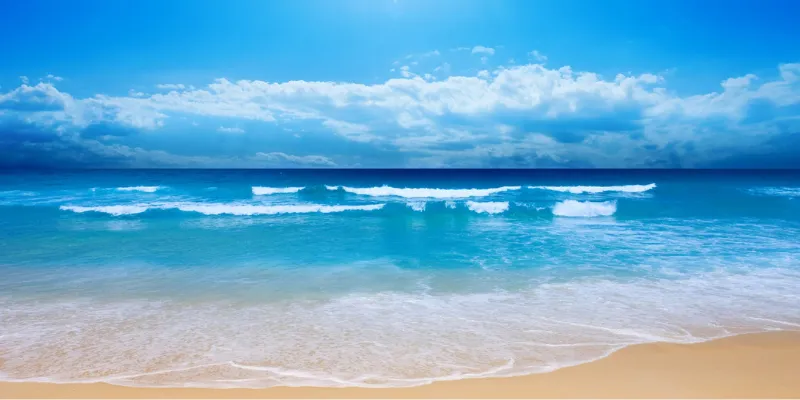 Tìm hiểu ý nghĩa và các con số may mắn khi mơ thấy biển