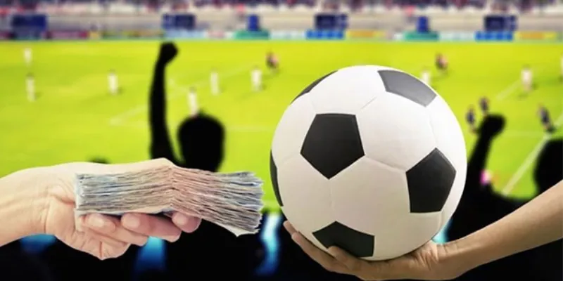 Lợi ích của việc hiểu rõ các thuật ngữ trong cá độ bóng đá