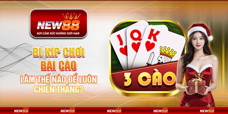 Bí kíp chơi bài cào – Làm thế nào để luôn chiến thắng?