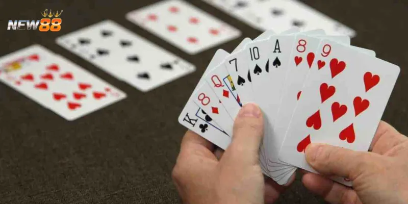 Nghiên cứu các chiến lược giúp thắng trong Bài Bridge