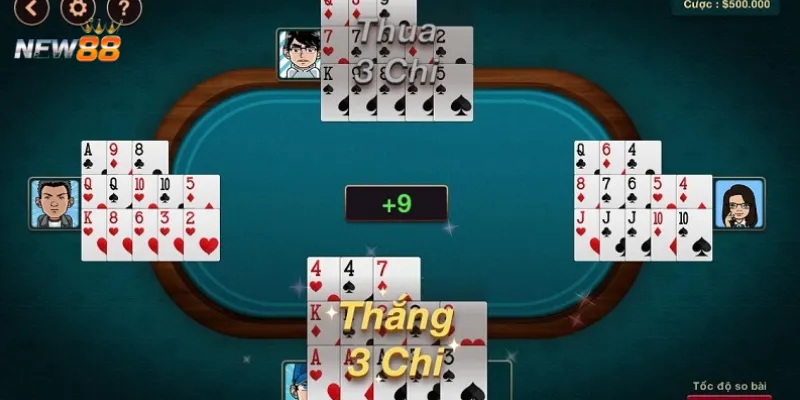 Tổng hợp thông tin về các chi trong Mậu binh