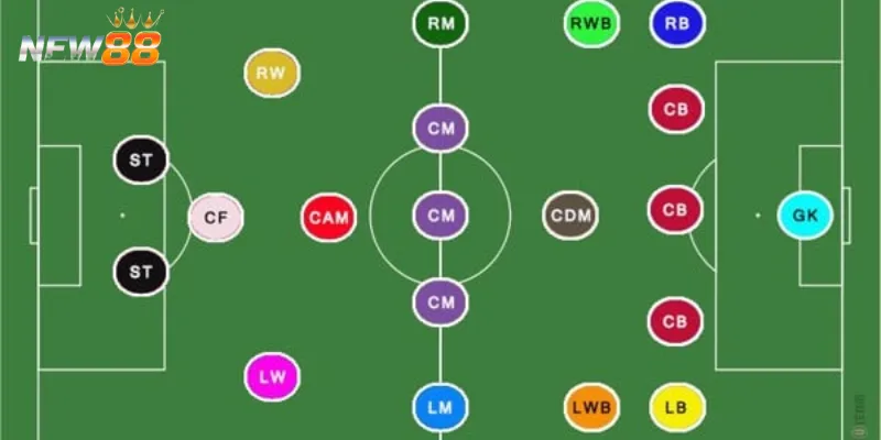 Cách vận dụng WF tối ưu trong đội hình bóng đá