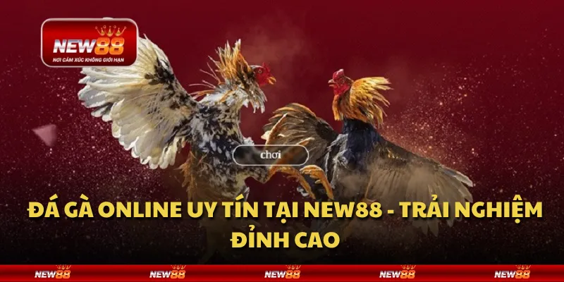 Đá gà online uy tín tại New88 - trải nghiệm đỉnh cao