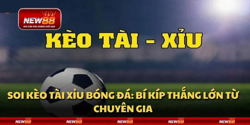 Soi kèo tài xỉu bóng đá: Bí kíp thắng lớn từ chuyên gia