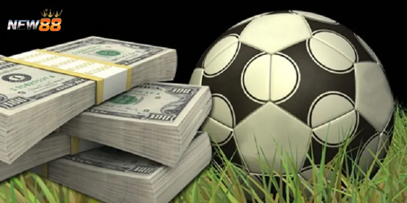 Cách nâng cao tỷ lệ thắng khi soi kèo bóng đá?