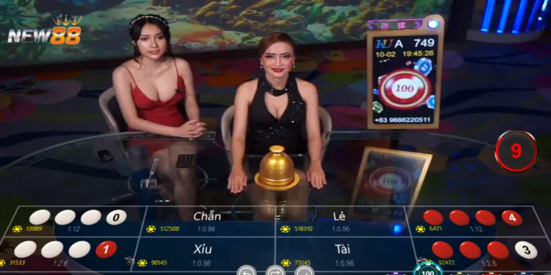 Cách tính xác suất xóc đĩa chuẩn xác và dễ hiểu