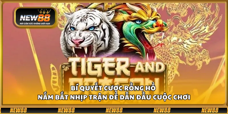 Bí quyết cược Rồng Hổ – Nắm bắt nhịp trận để dẫn đầu cuộc chơi