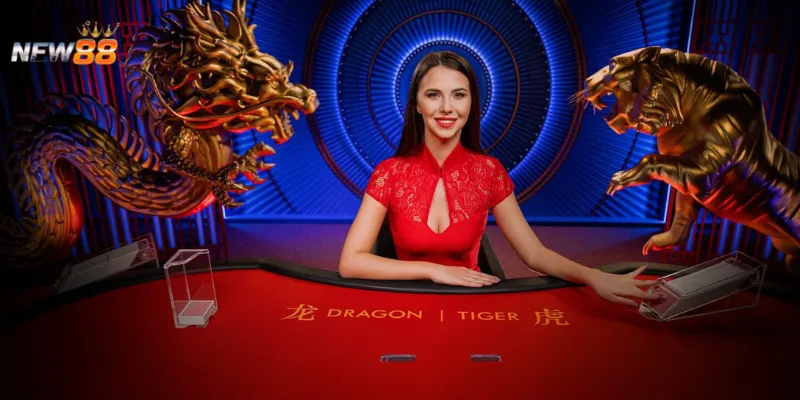 Kỹ thuật chơi Rồng Hổ dành cho tân thủ là gì?