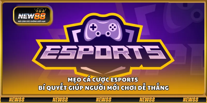 Mẹo cá cược Esports - Bí quyết giúp người mới chơi dễ thắng