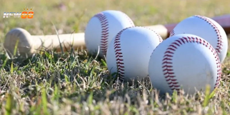 Nghiên cứu các quy tắc cá cược bóng chày